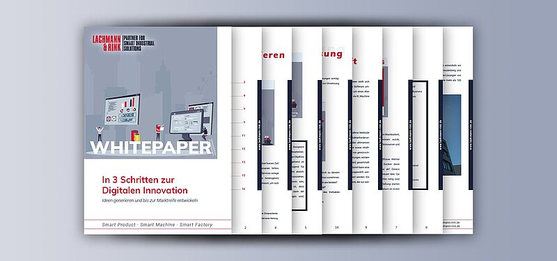 L&R Whitepaper In 3 Schritten zur Digitalen Innovation